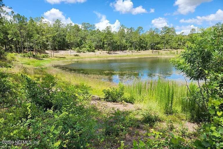 4534 ALAN LAKE Road, Keystone Heights, FL 32656, Keystone Heights, FL - photo 3
