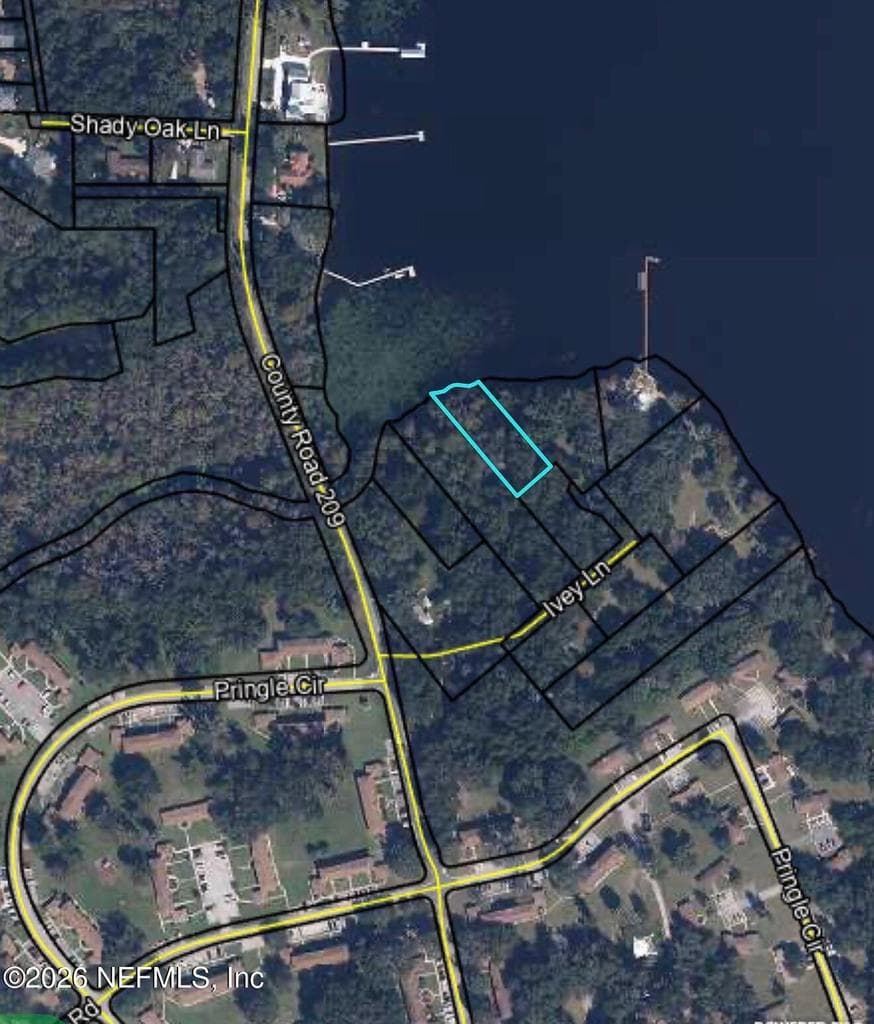 1264 IVEY Lane, Green Cove Springs, FL 32043, Green Cove Springs, FL - photo 2