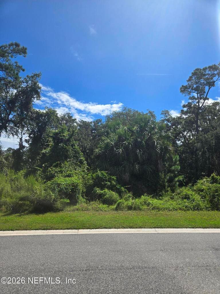 208 CANOPY HALL Drive, St. Augustine, FL 32095, St. Augustine, FL - photo 2