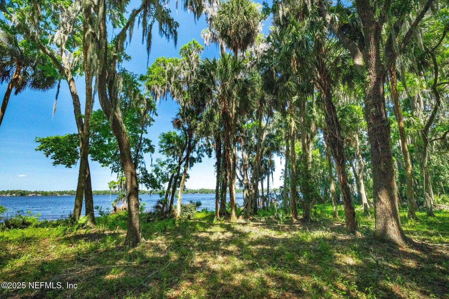 766 NATIONAL FOREST ROAD 75G Road, Palatka, FL 32177, Palatka, FL - photo 1